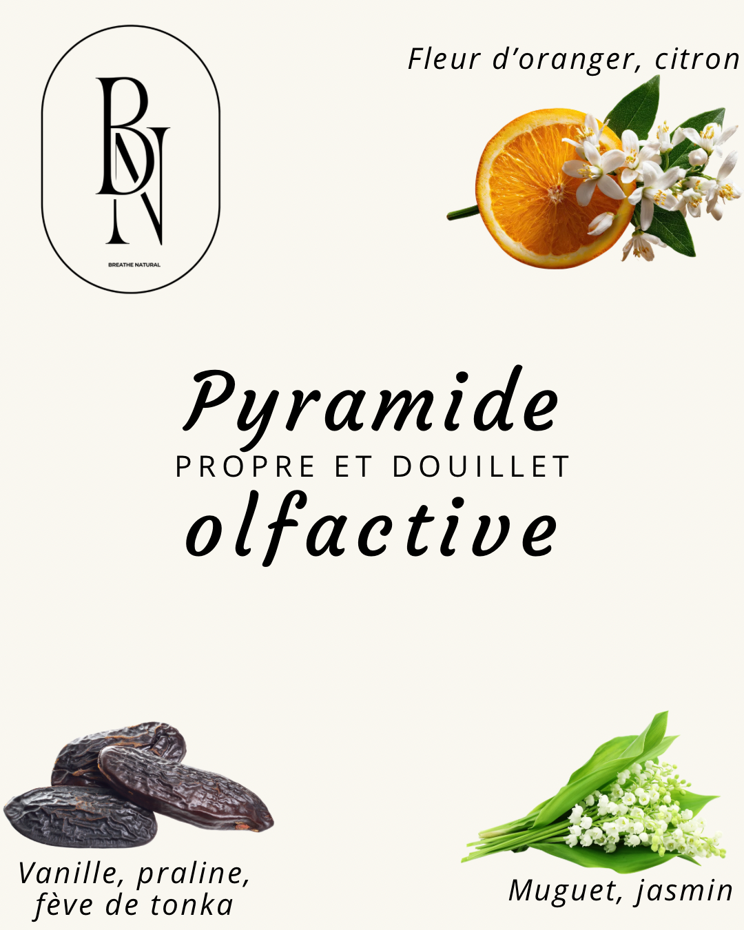 Fondant Parfumé – Propre et douillet