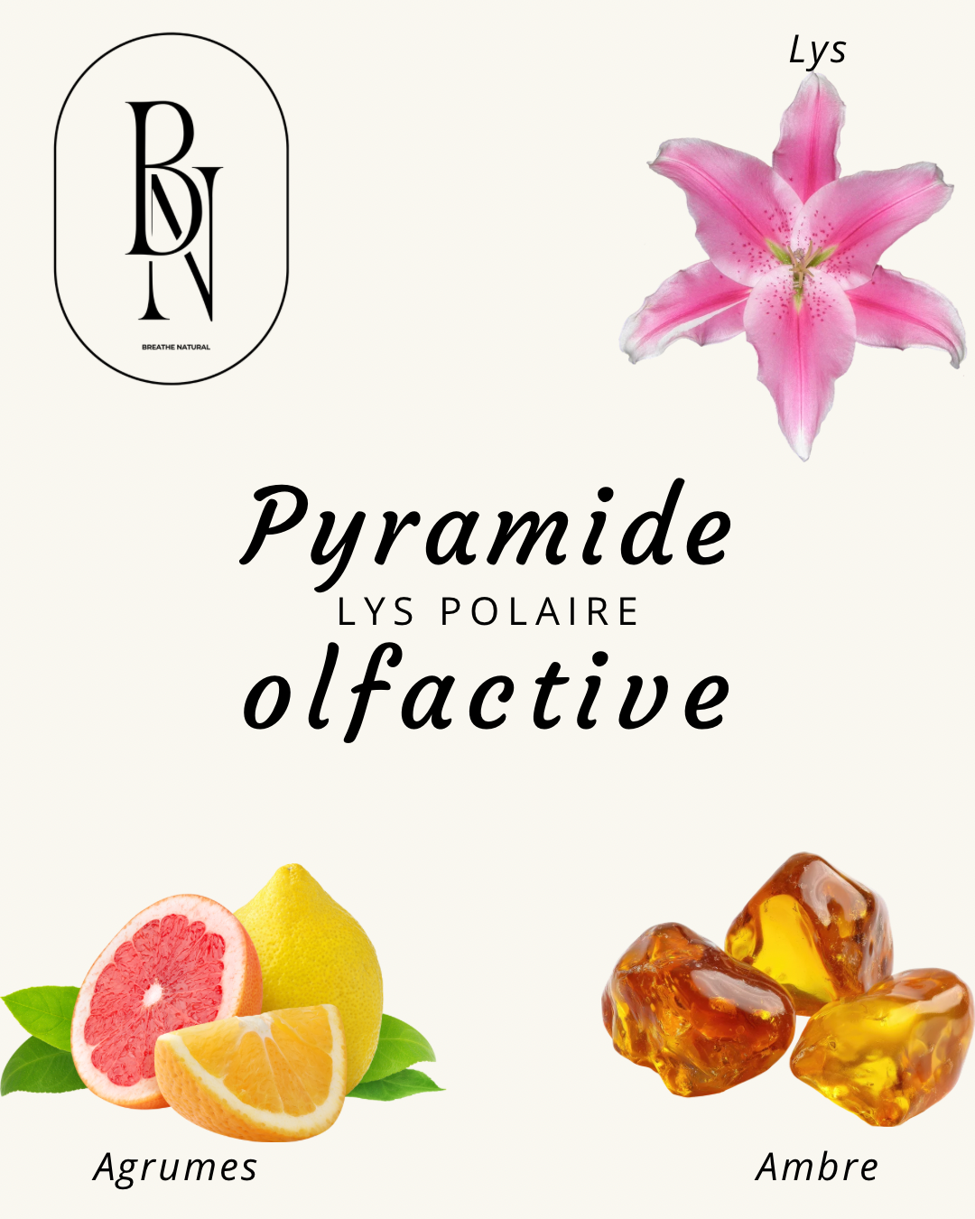Fondant Parfumé – Lys Polaire