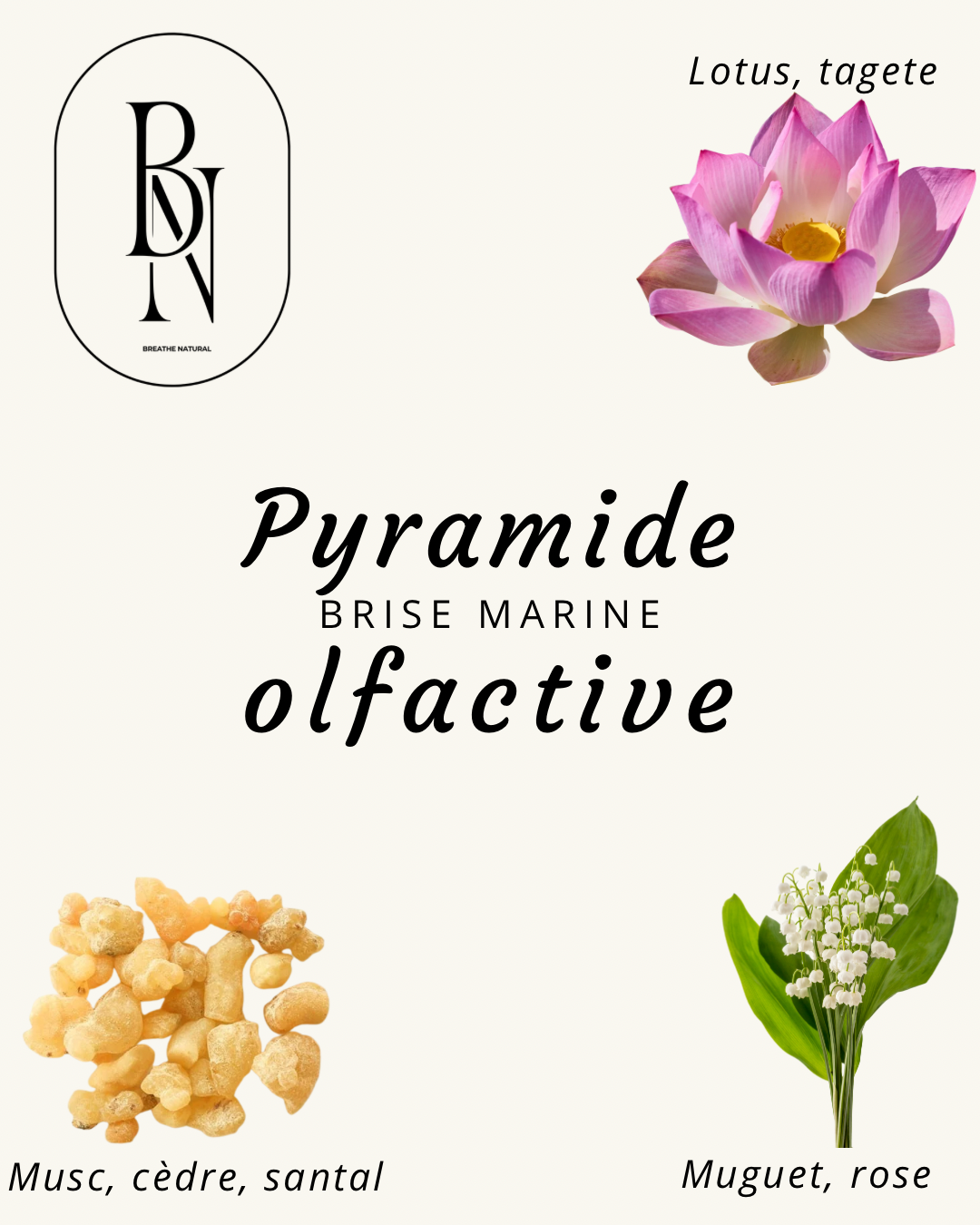 Fondant Parfumé – Brise marine