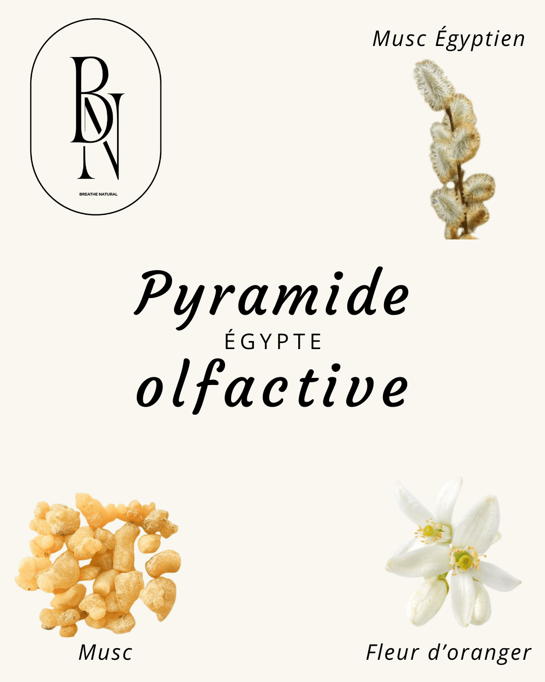 Fondant parfumé – Égypte