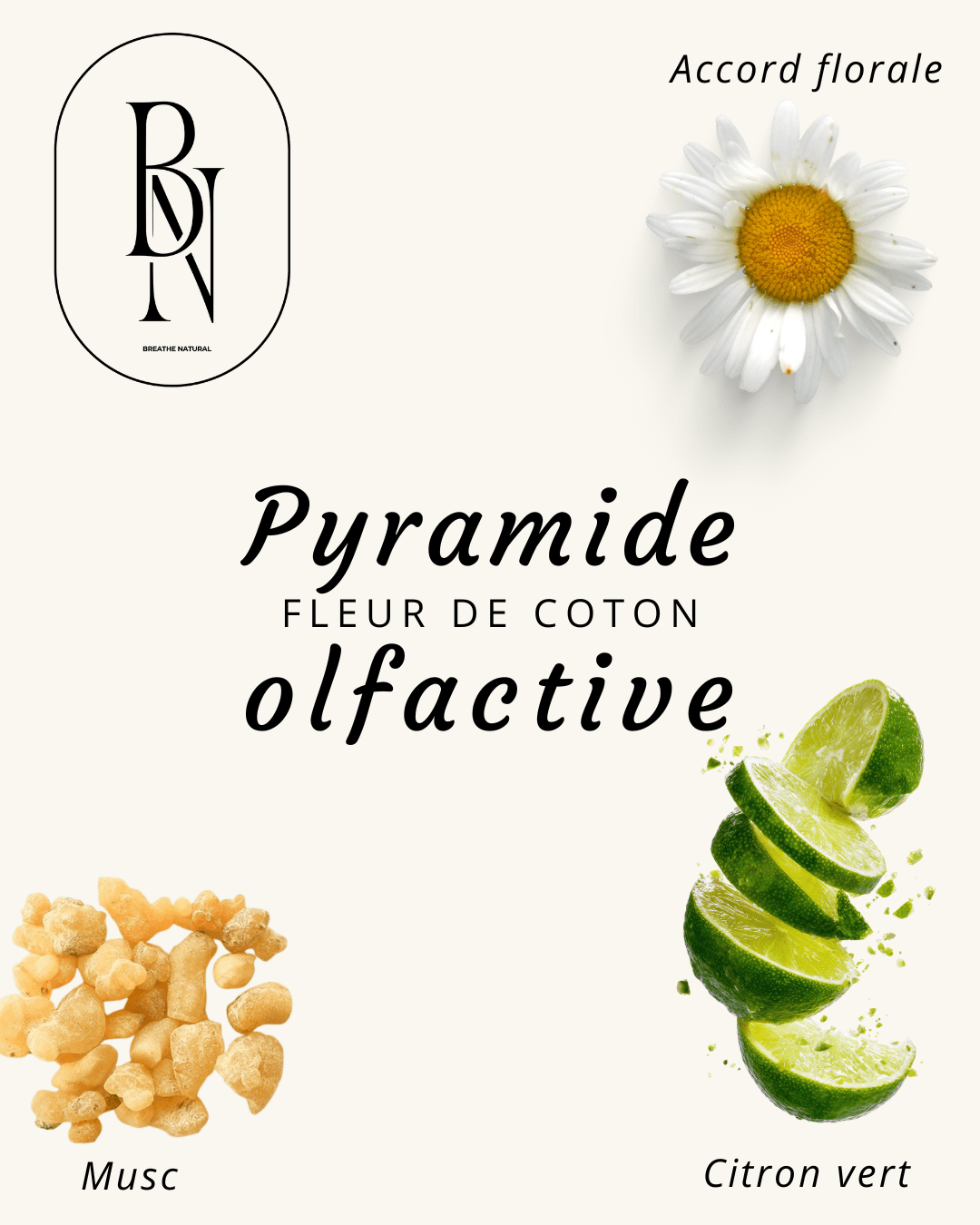 Fondant parfumé – Fleur de Coton