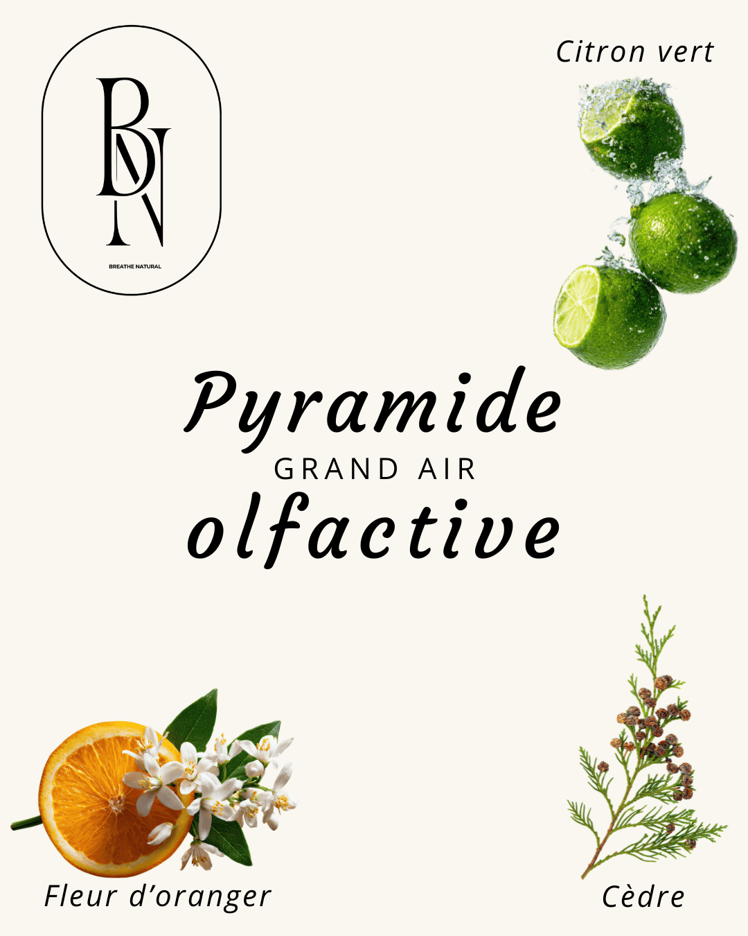 Fondant parfumé – Grand Air