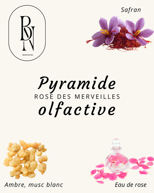 Diffuseur voiture – Rose des Merveilles