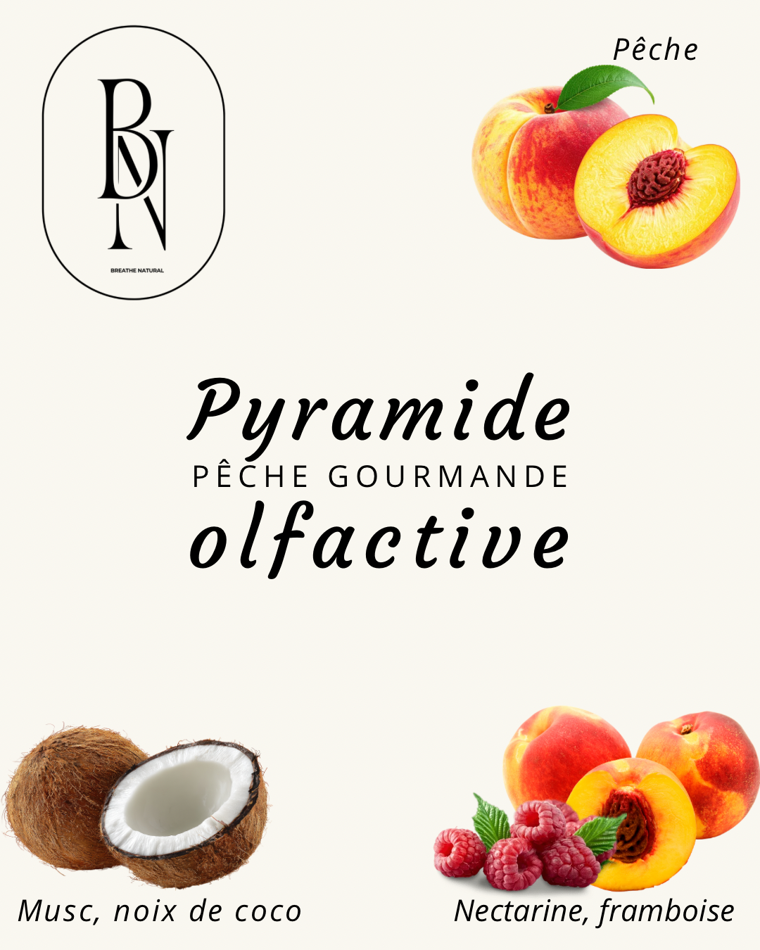 Savon liquide – Pêche gourmande